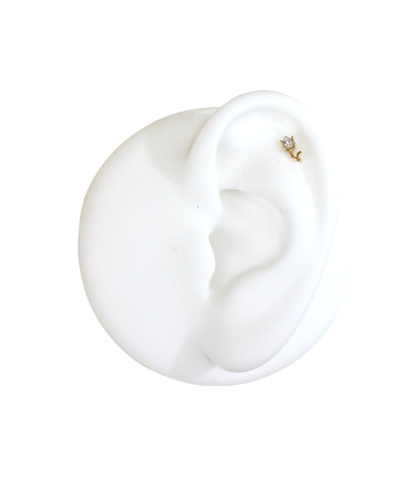 Piercing Tulipano