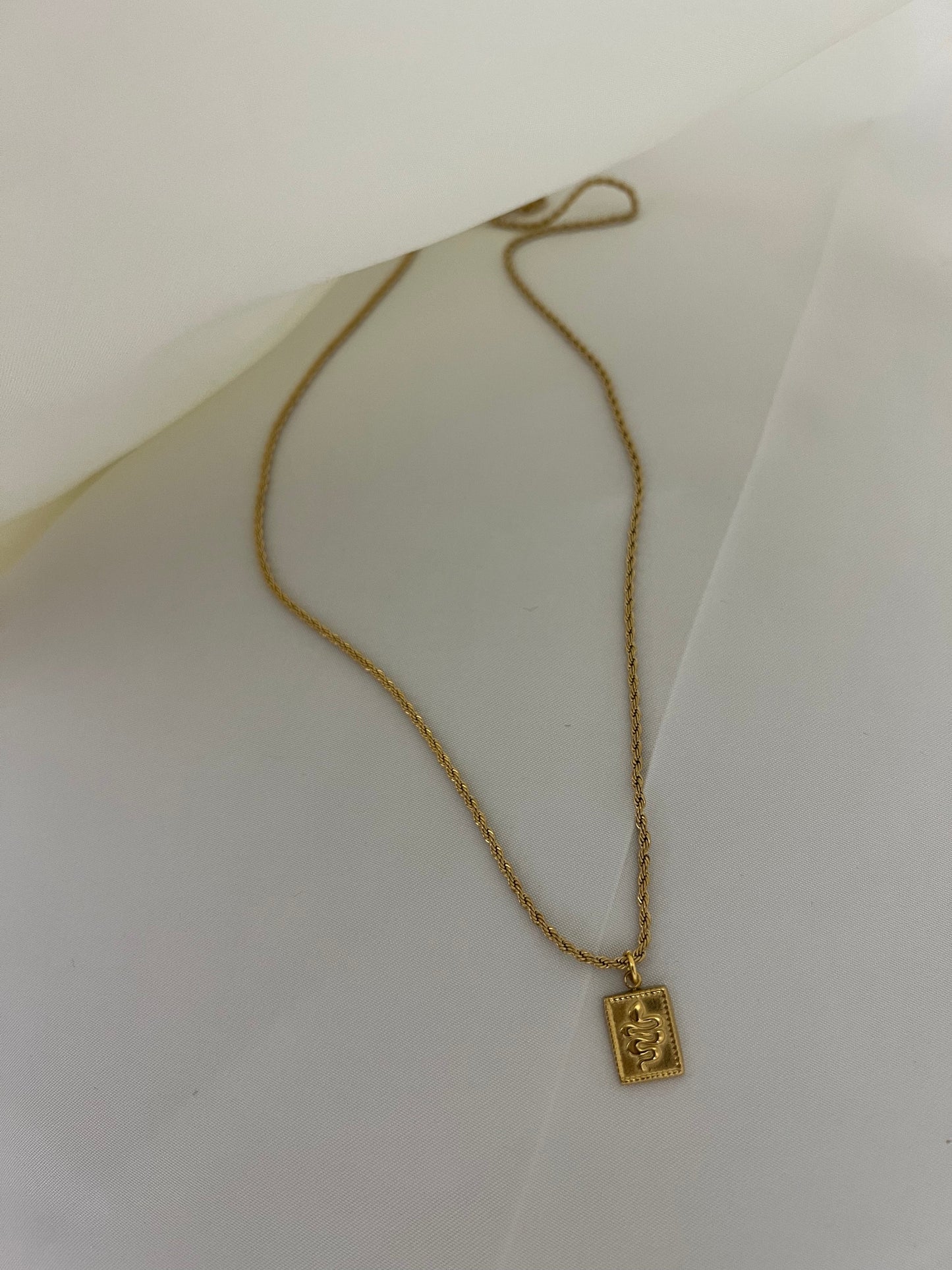Collana Torcion con Medaglia Snake
