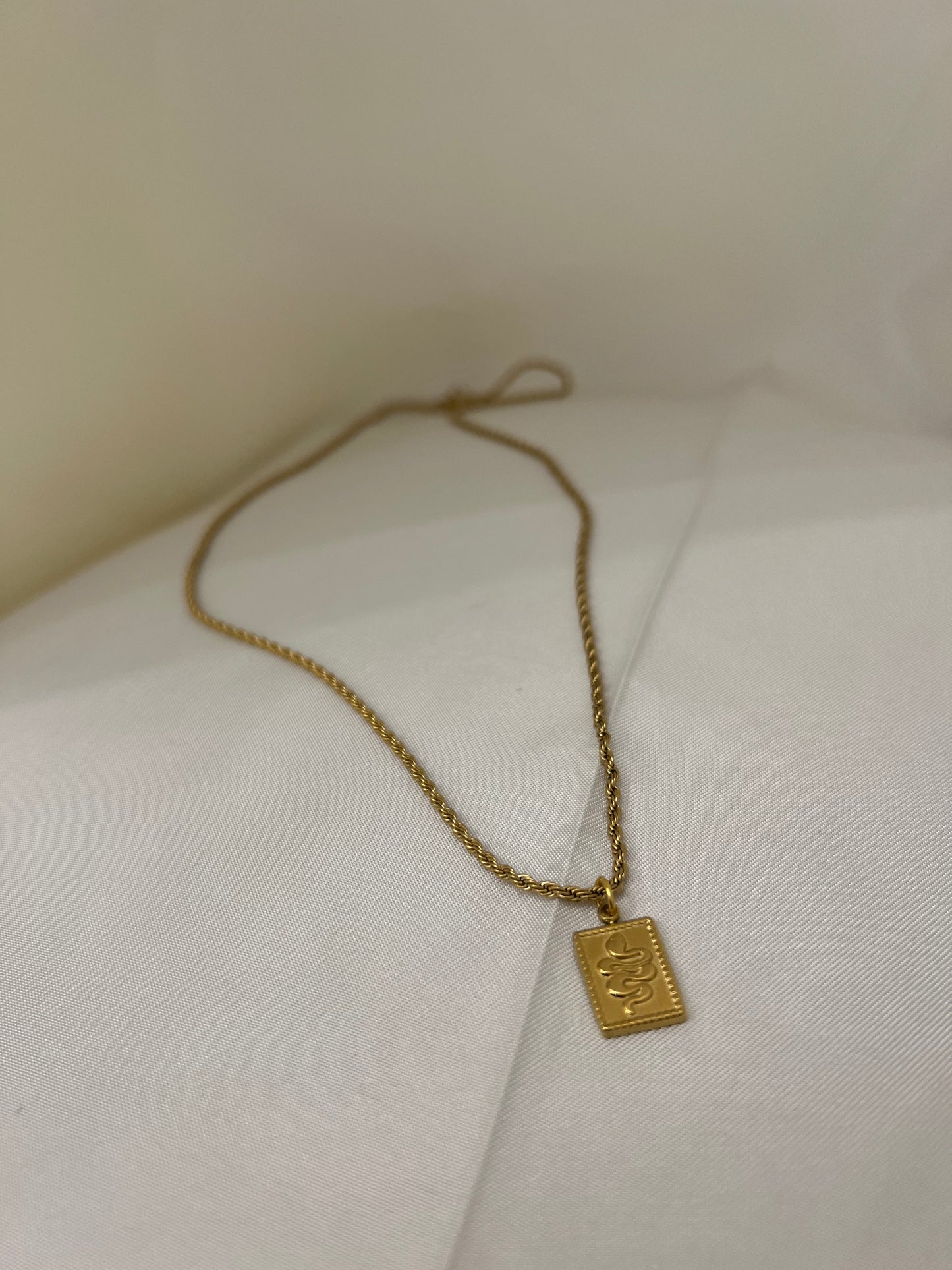 Collana Torcion con Medaglia Snake
