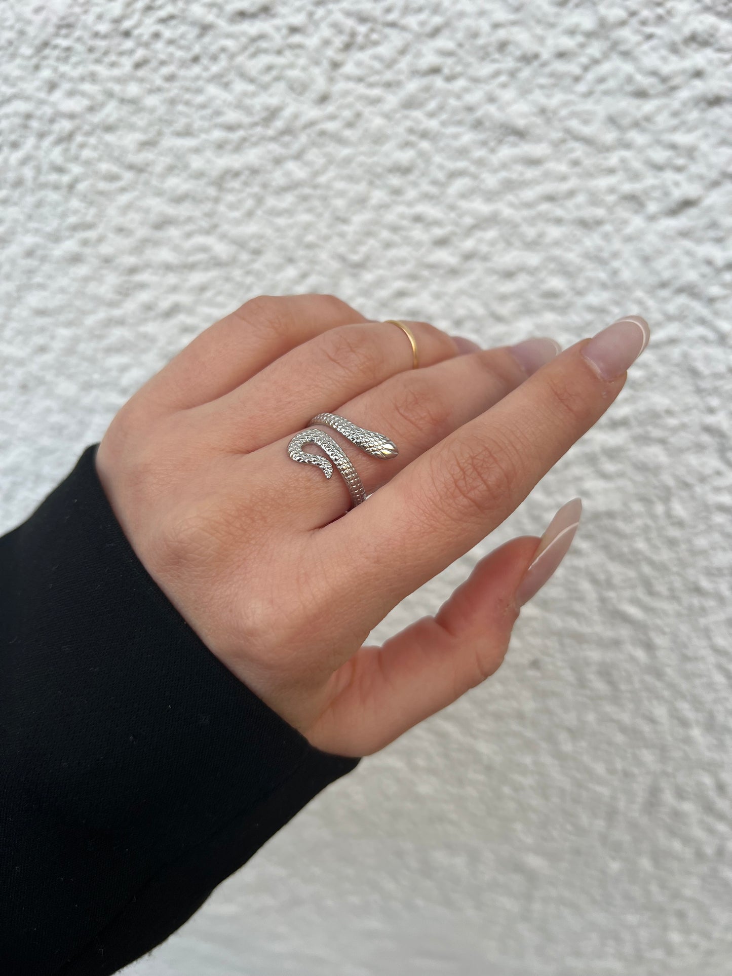 Anello Snake