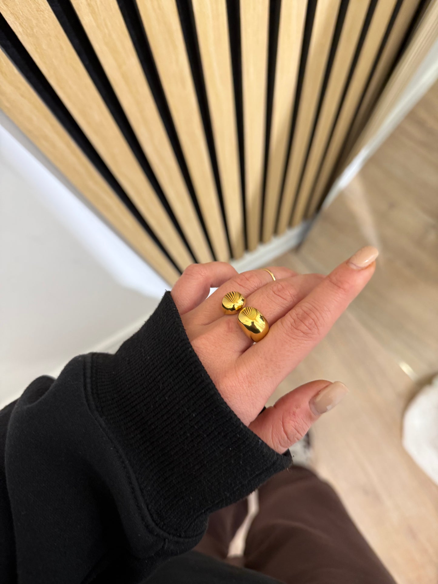 Anello Ciabbi