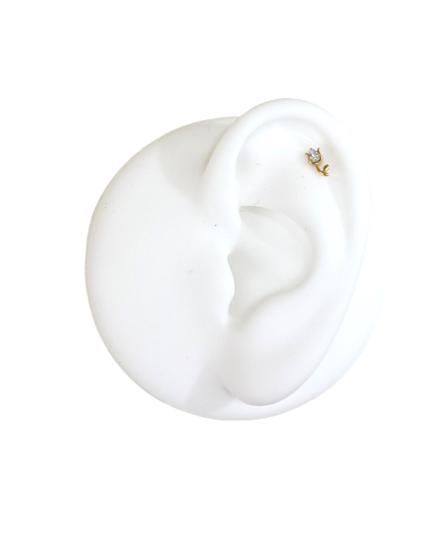 Piercing Tulipano