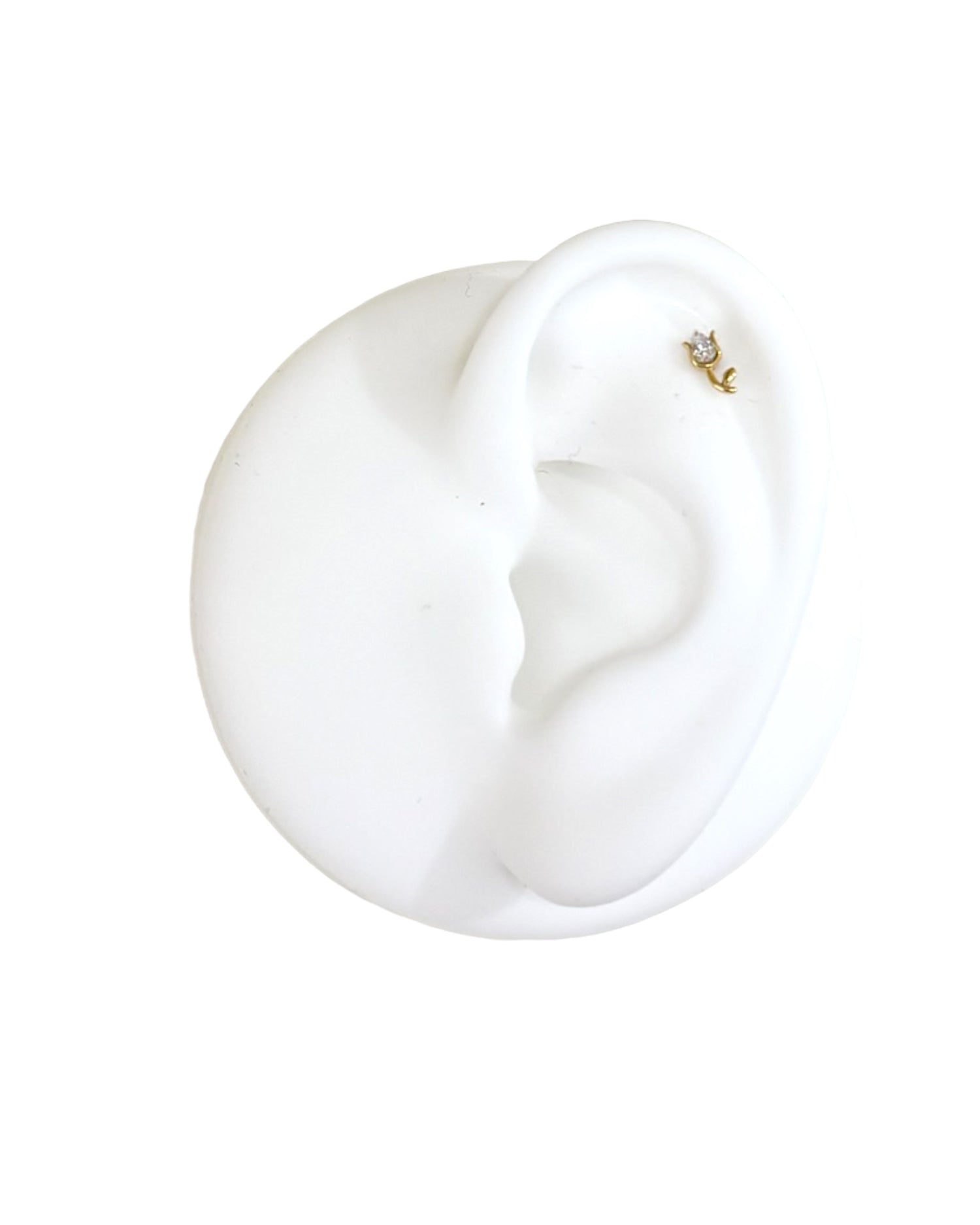 Piercing Tulipano