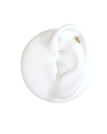 Piercing Tulipano