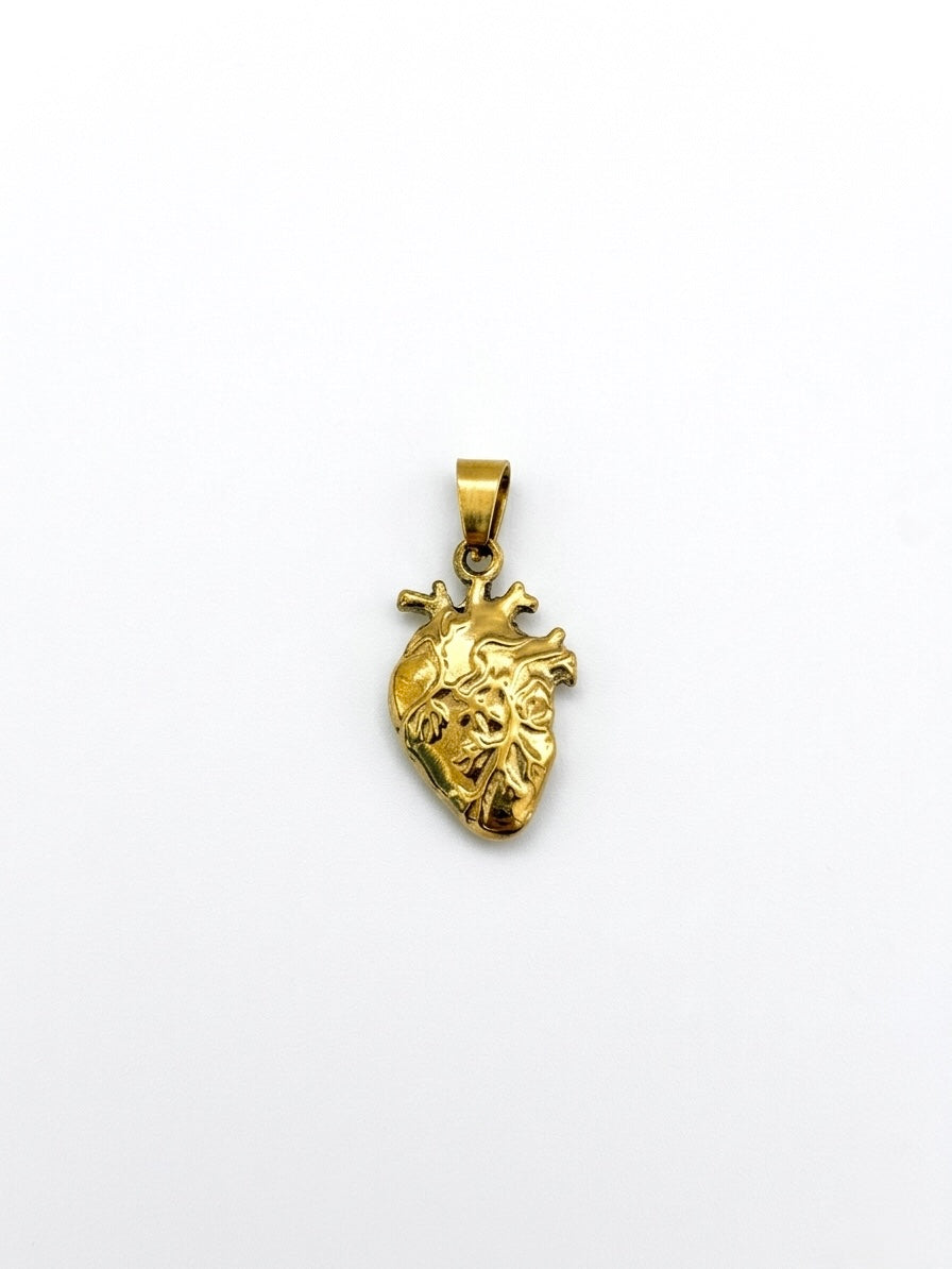 Ciondolo Cuore Anatomico realistico
