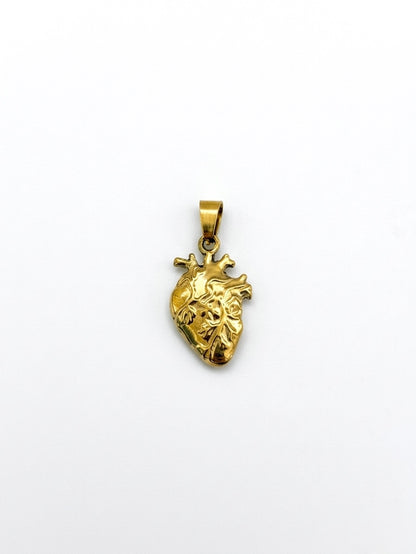 Ciondolo Cuore Anatomico realistico