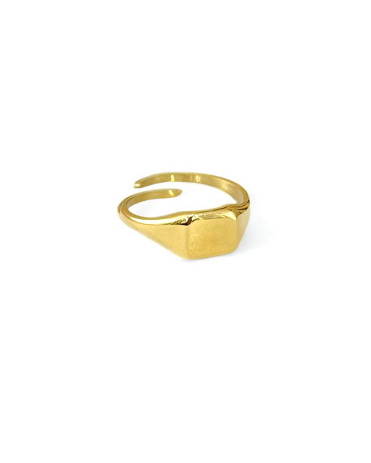 Anello Frame Mignolo