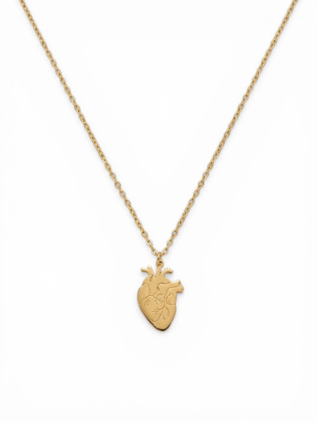 Collana Cuore Anatomico