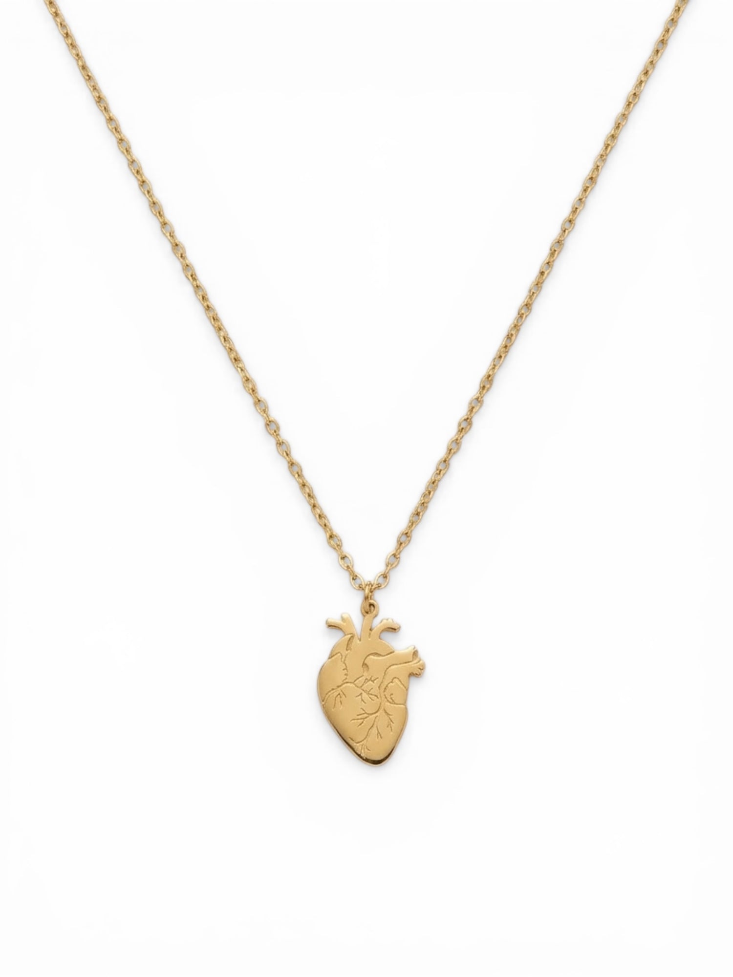 Collana Cuore Anatomico