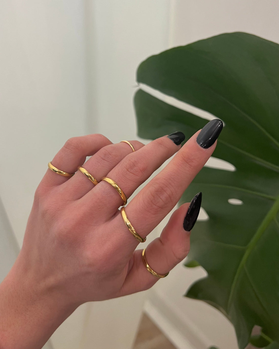 Fedine a Misura - Bilè